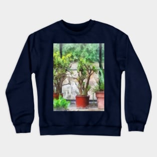 Bonsai in Greenhouse Crewneck Sweatshirt